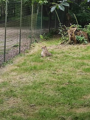 IMG 20240705 WA0047