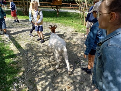 IMG 20250616 WA0008