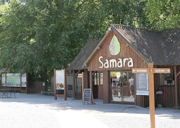 les-ce2-et-les-cm1-a-samara